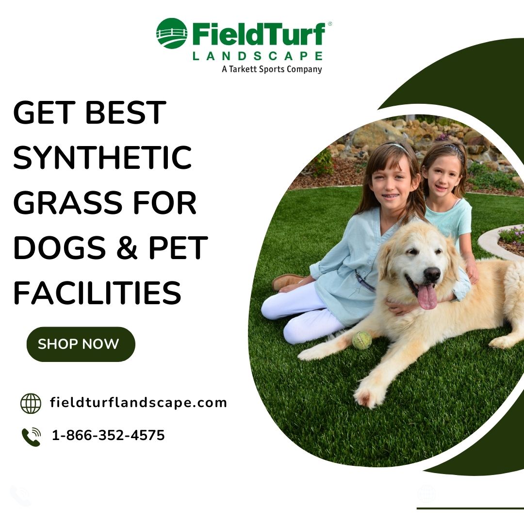 Get Best Synthetic Grass For Dogs & Pet Facilities | Fieldturf Landscape